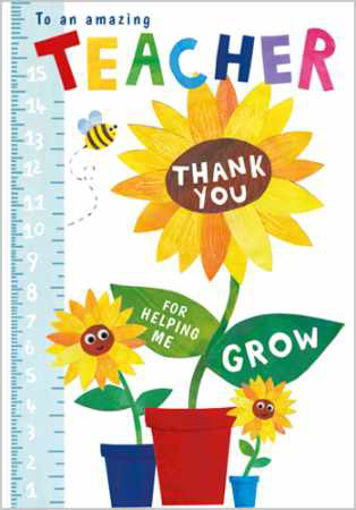 Picture of TO AN AMAZING TEACHER THANK YOU CARD